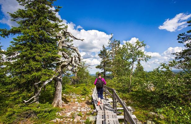 Day Trip to Korouoma Canyon from Rovaniemi