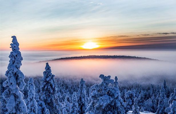 Further to the Wilderness