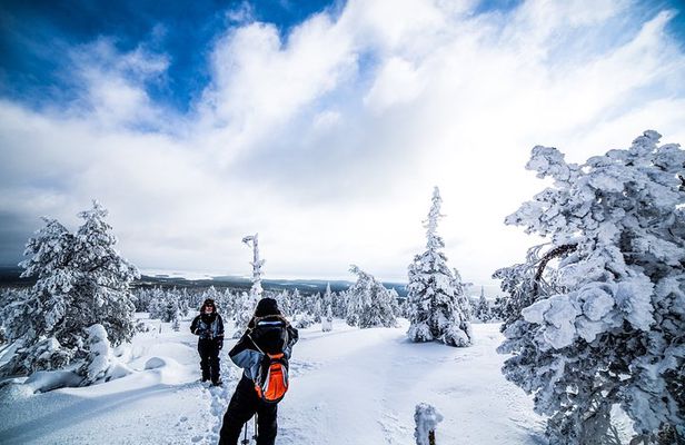 Photographing Tour by Snowmobile Sleigh