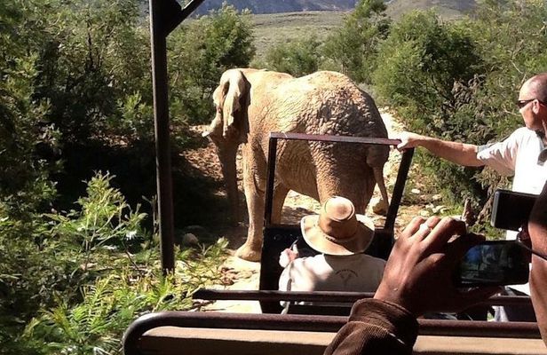 3-Day Kruger National Park Private Safari from Johannesburg