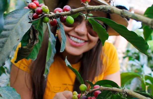 Authentic Coffee Farm Experience from Bogota • Private Tour • 7h
