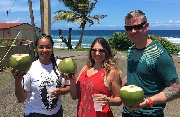 North West Adventure Puerto Rico
