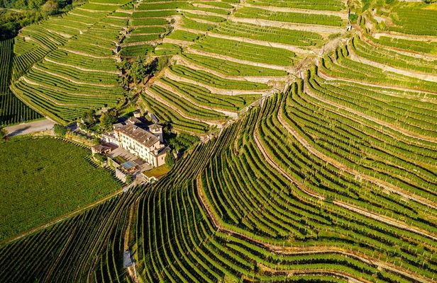 Lake Como & UNESCO Dry-stone Walls Vineyards
