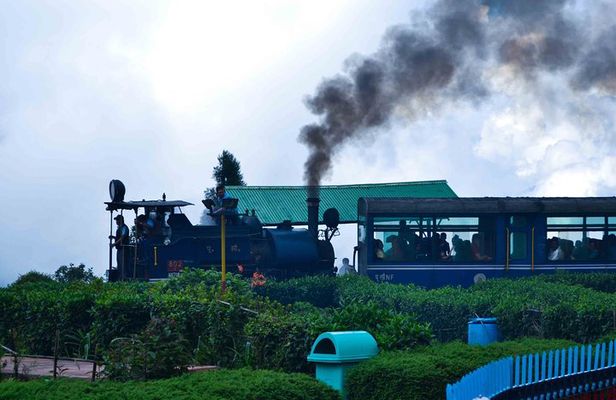 Day_Trippers (Darjeeling Full Day Tour).