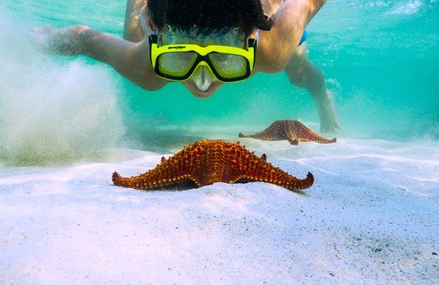Private Stingray City and Snorkeling Half Day Charter for 6 Guest