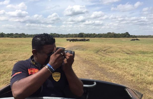 Yala National Park Full-Day Jeep Safari with Lunch