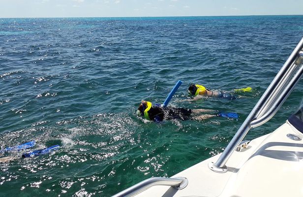 Coral Reef Private Snorkel tour out to John Pennekamp Coral Reef State Park