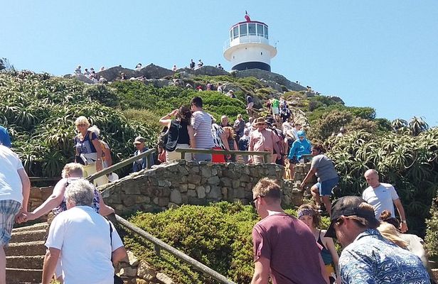 Shared Tour to Cape of Good Hope Penguins Chapman's Peak From Cape Town Full Day