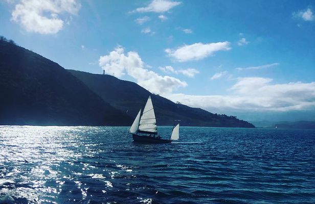 5 Days Private Guided Tour in Garden Route