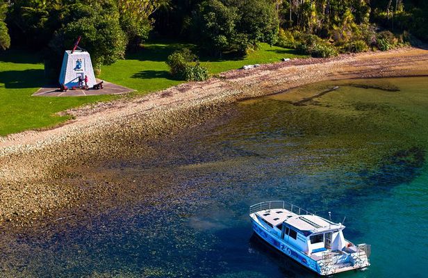 Captain Cook and Dolphin Cruise
