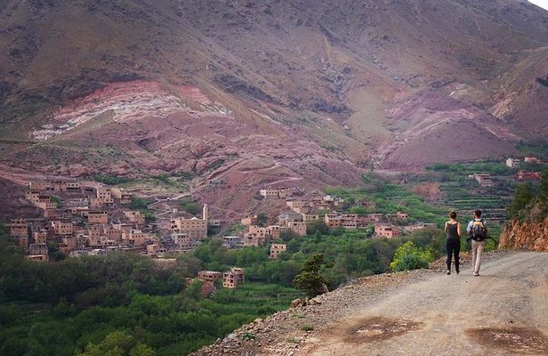 Marrakech: Atlas Mountains Day Hike, Talamrout Summit 2700M