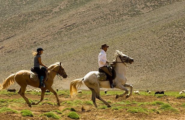 Atlas Mountains Horseback Ride Day Tour From Marrakech