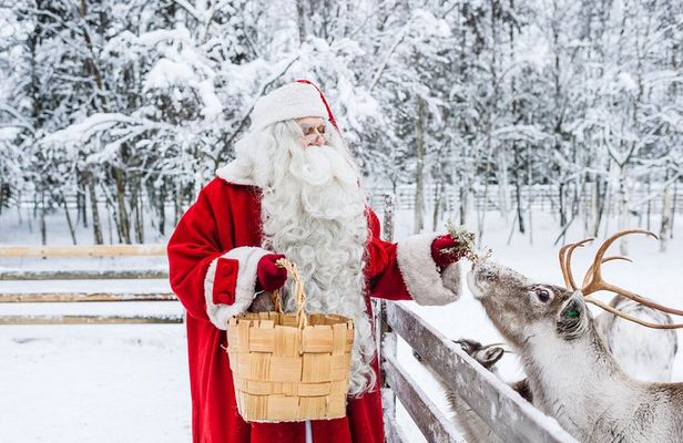 Trip to Arctic Circle, Santa Claus Village and Santas Reindeer