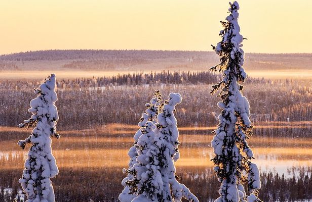 Snowmobile Driving - Morning start