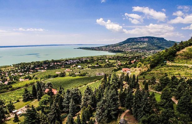 Full-Day Wine Tasting at Lake Balaton Private Tour from Budapest