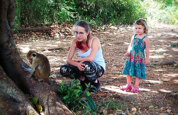 Udawalawe National Park | 3 Hours Safari Tour (Jeep Only)