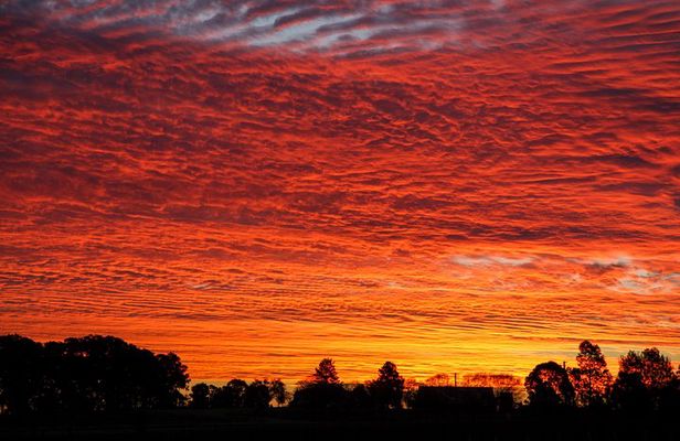 Private full-day wine tour in the Hunter Valley