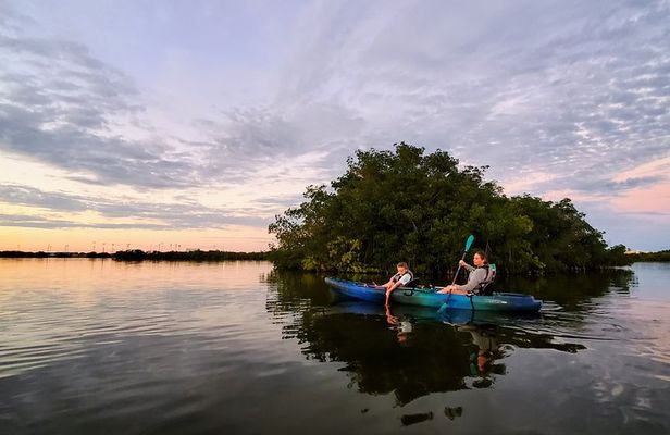 Thousand Islands Mangrove Tunnel Sunset Kayak Tour with Cocoa Kayaking!