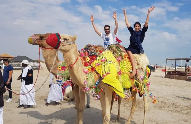 Desert Safari Adventure 4 hours from Doha with Pickup