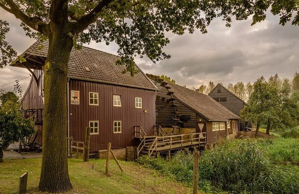 Eindhoven: E-Fatbike Tour In The Footsteps of Vincent van Gogh