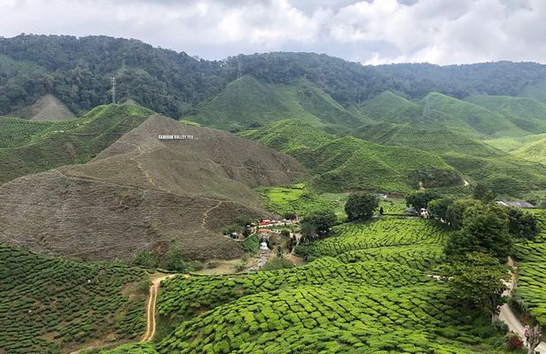 4-Day Cameron Highland and Penang Tour from Kuala Lumpur 