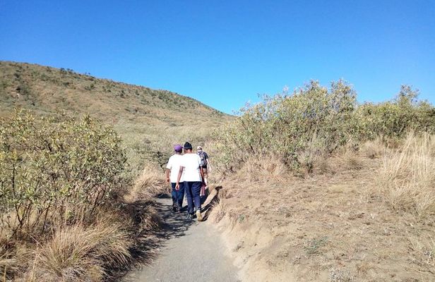 Mt Kilimambogo Oldonyo Sabuk Private Hiking Tour 