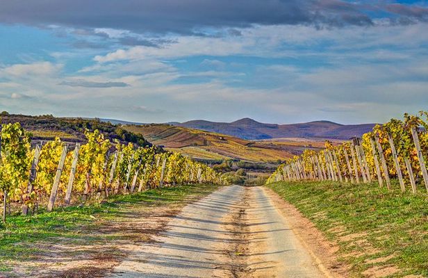 Full-Day Tokaj UNESCO World Heritage Site Private Wine Tour