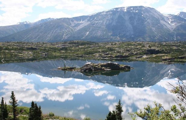 Half Day Yukon Suspension Bridge & Summit Tour