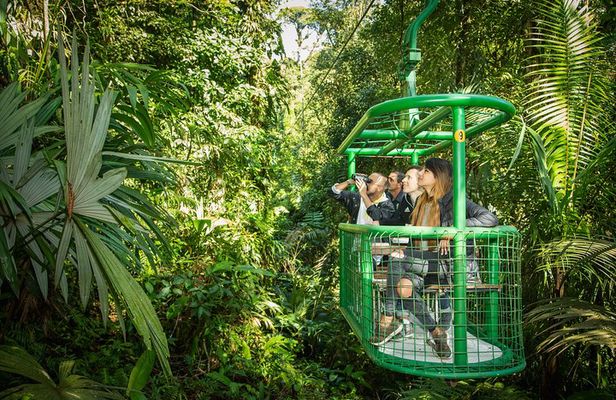 Rain Forest Aerial Tram. Private Tour from San Jose