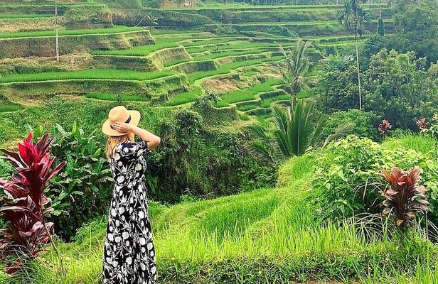 Ubud Tour - Ubud Highlight - Private Tour All inclusive