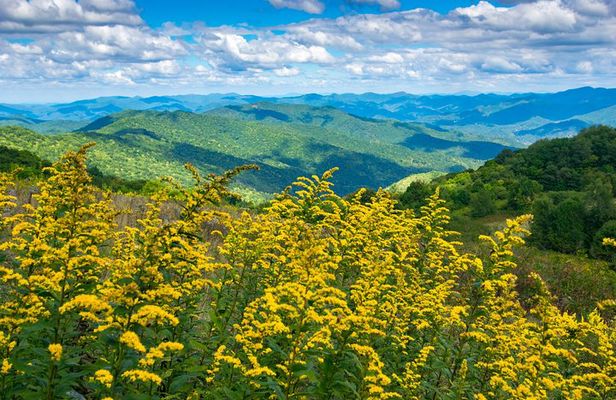 Hike with Long Range Views from Asheville