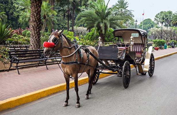 4-Hour Walking and Horse Carriage City Tour of Cairo
