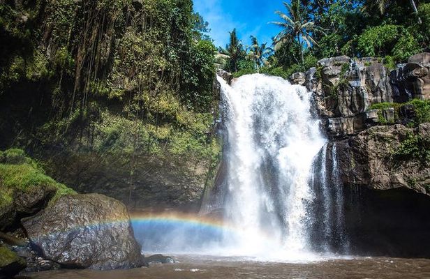 Best Waterfall & Kintamani Tour