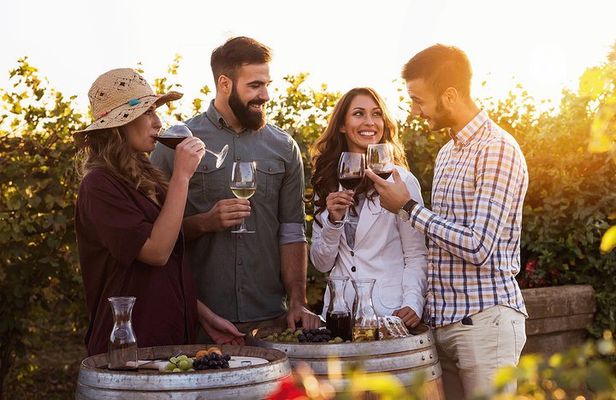 Hunter Valley Highlights Private Wine Tour from Sydney
