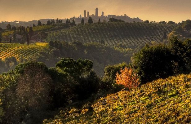Small-Group Chianti and San Gimignano Sunset Trip from Siena