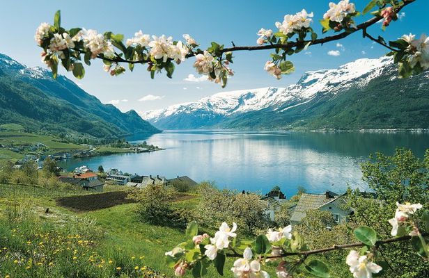 Bergen: Self-Guided Roundtrip (Sognefjord Cruise 5h & Flamsbana)