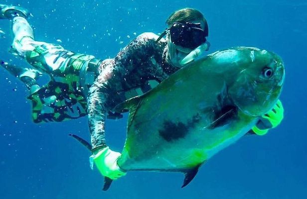 Spearfishing in Tulum or Playa del Carmen