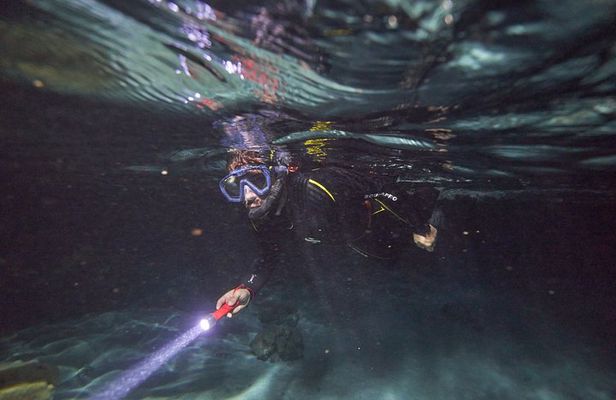 Night Snorkeling
