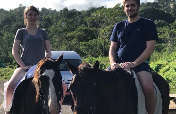 Blue hole waterfalls + horseback riding from Montego bay