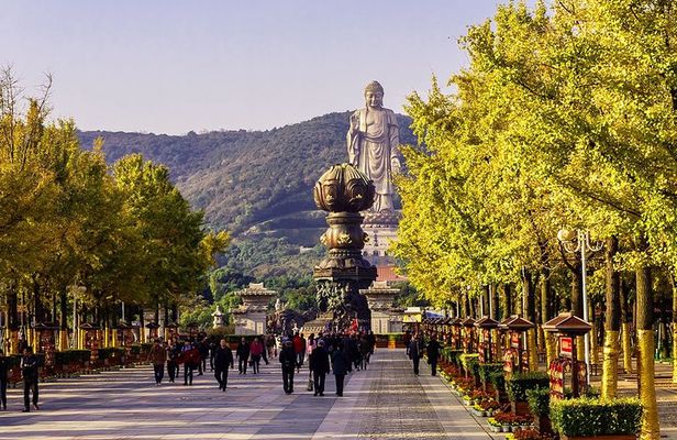 Wuxi Private Day Tour with Lingshan Buddhist Scenic Spot and Taihu Yuantouzhu