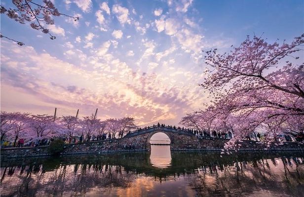 Wuxi Private Flexible Day Tour from Shanghai by Bullet Train