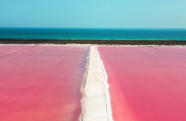 Discover the FABULOUS PINK WATERS in the Caribean
