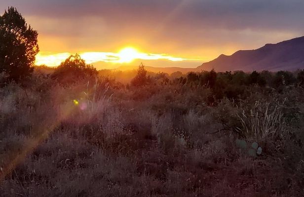 Sunrise Wildlife Safari Tour by Jeep from Sedona