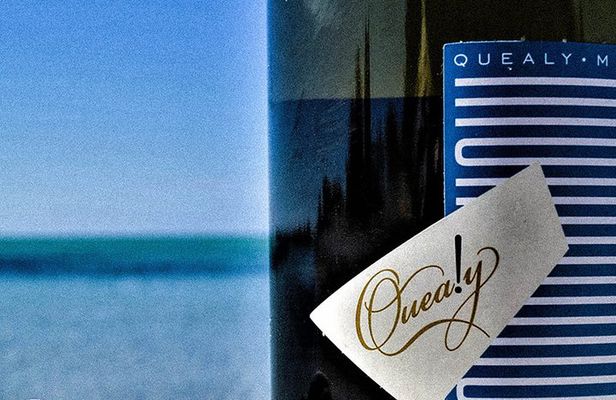 Mornington Peninsula 2-6 guests Lunch and inc Wine Tasting at Quealy Winemakers