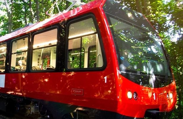 Corcovado Train & Sugarloaf Full-Day City Tour with Lunch