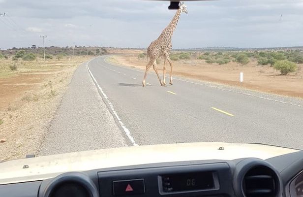 Arusha National Park Half Day Tour