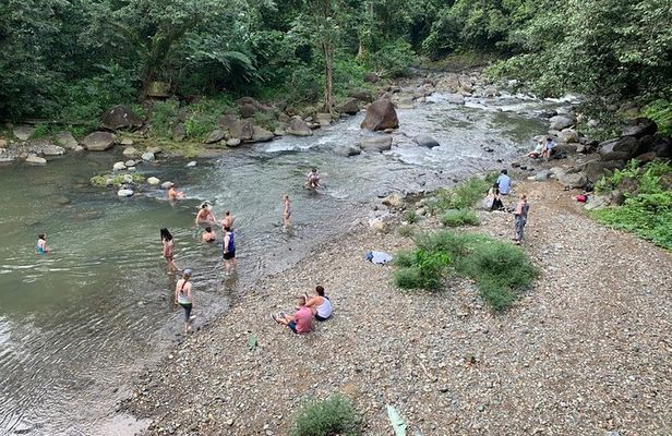 El Yunque National Forest and Luquillo Beach Combo