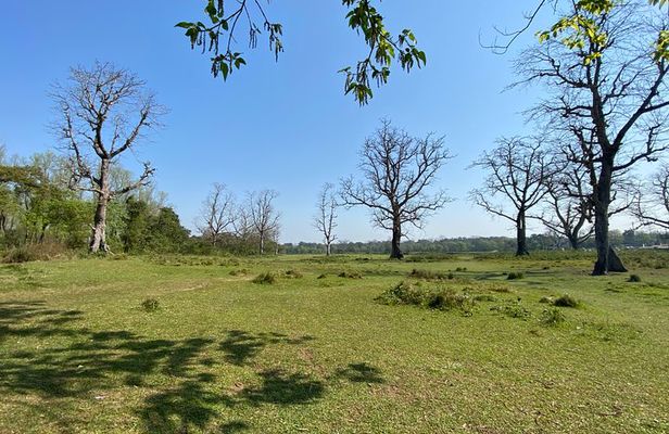 Canoeing and Nature Walk in Chitwan National Park