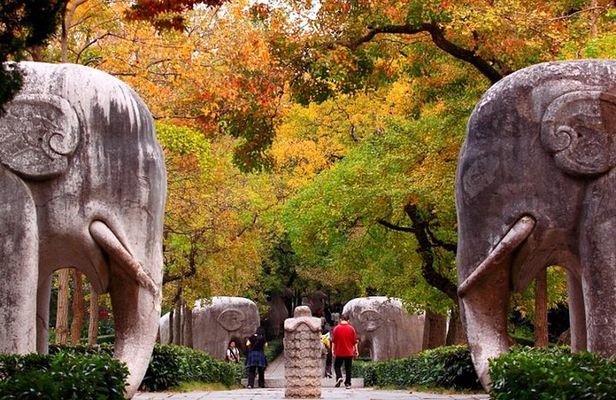 6-Hour Private Tour of Xiaoling Tomb,City Wall & Memorial Hall