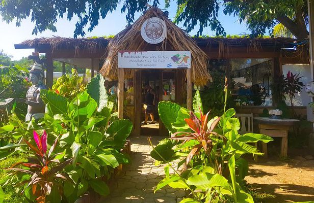 Roatan Horseback and Glass bottom boat Tour